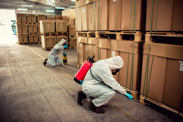 Best Rat Extermination Near Me  in Upland, CA