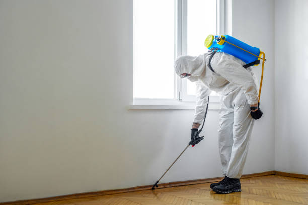  Upland, CA Pest Control Pros