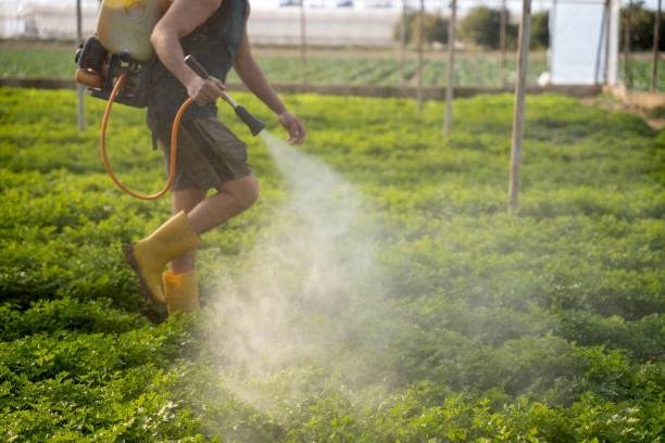 Best Pest Control for Homes  in Upland, CA