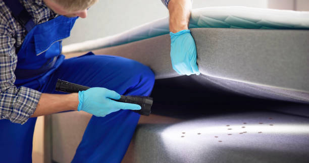 Best Bed Bug Extermination  in Upland, CA