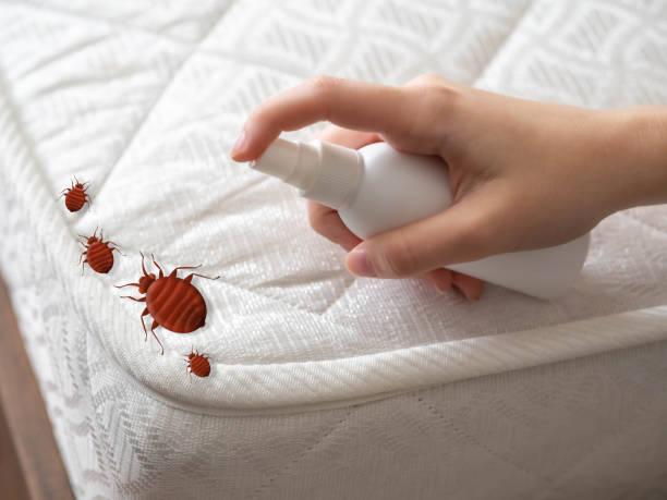 Best Pest Control Near Me  in Upland, CA