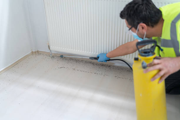 Best Wasp Removal Services  in Upland, CA